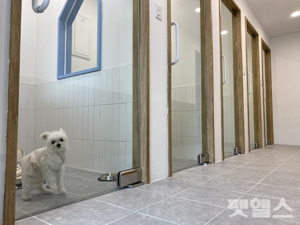 댕댕하우스 보호실 [사진=노원구청]