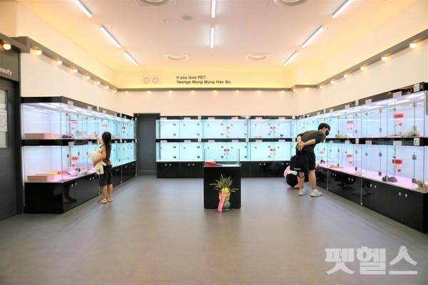 분양샵 @펫헬스