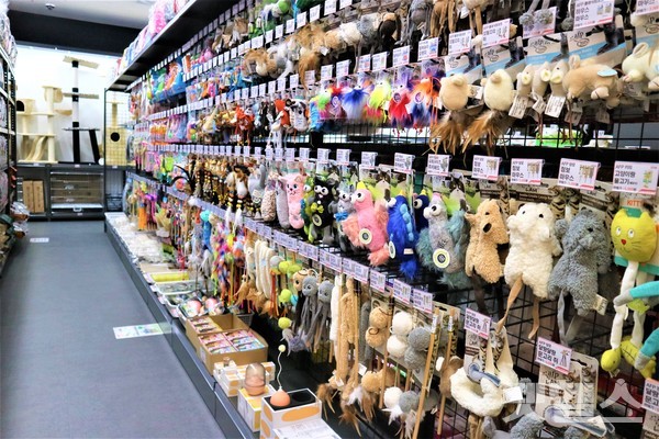 고양이 장난감 @펫헬스