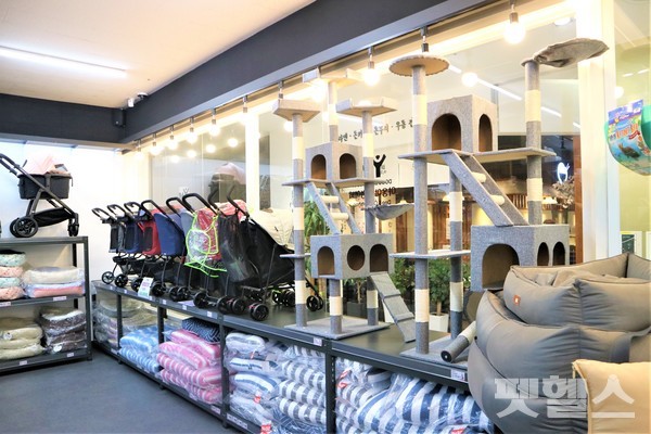 윈도우 쪽 진열 모습 @펫헬스