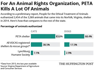 페타의 안락사 비율을 알린 허핑톤 신문 기사