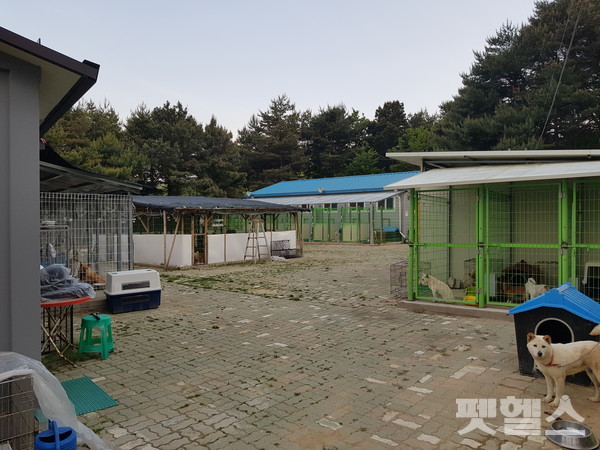 속초시유기동물보호소 내부 @펫헬스