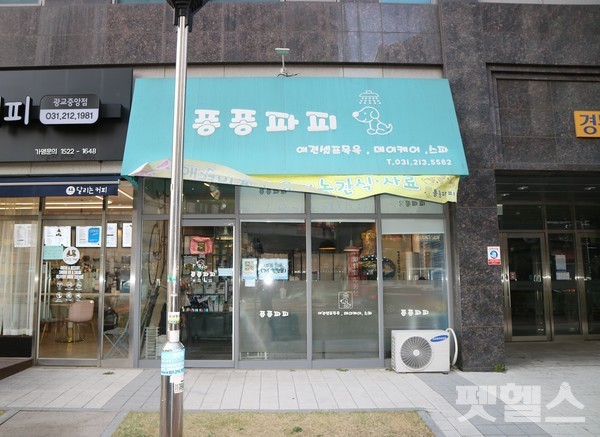 퐁퐁파피 전경 @펫헬스