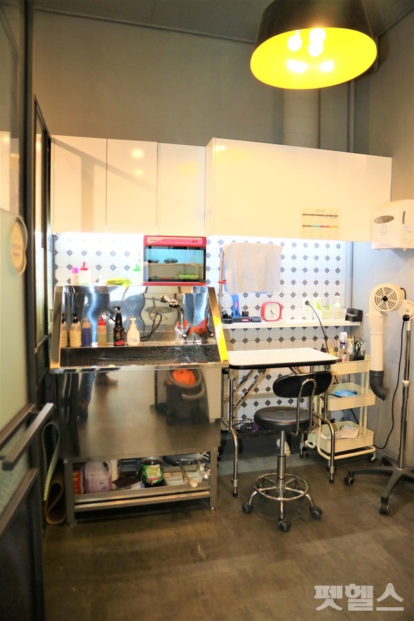 미용실 @펫헬스