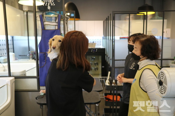손님과 대화하는 미용사와 사장님 @펫헬스
