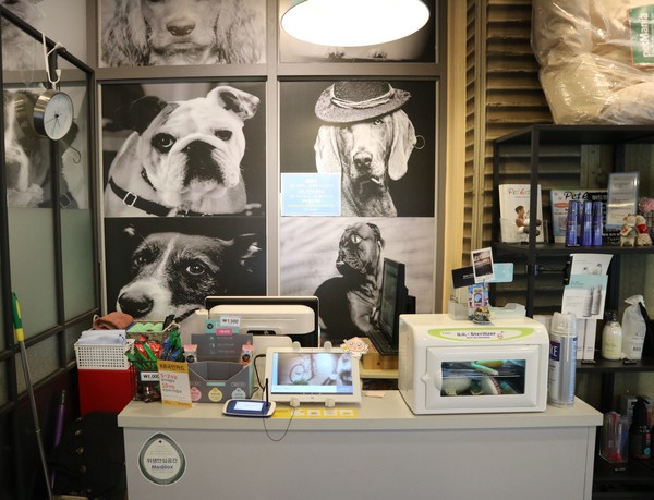 카운터 주위. 흑백사진으로 디자인 @펫헬스