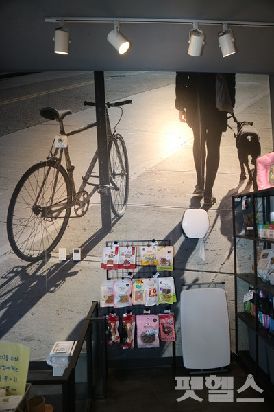 한쪽 벽면을 큰 프린팅 사진으로 도배했다. @펫헬스