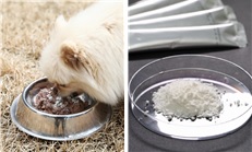 반려견 유제품 [사진=농촌진흥청]