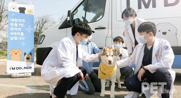 현대자동차는 한국헌혈견협회와 함께 국내 반려견 헌혈 문화 확산과 정착을 위한 ‘I’M DOgNOR : 반려견 헌혈카’ 캠페인 시즌2를 진행한다. [사진=현대자동차]