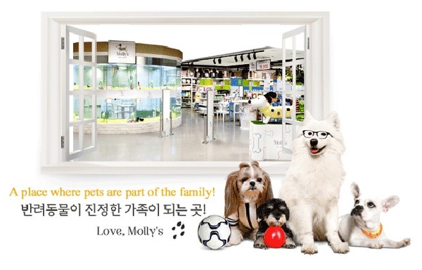 [사진=몰리스펫샵]