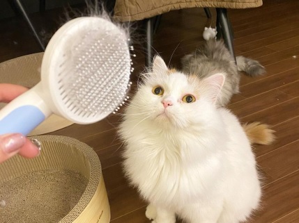 [사진=라이프리서치랩]