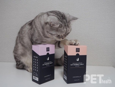 코코몰리 고양이 영양간식 2종 [사진=라이프리서치랩]