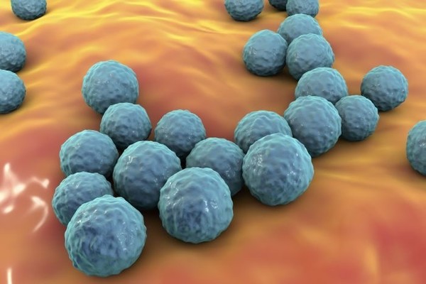 [사진=Petfoodindustry.com]