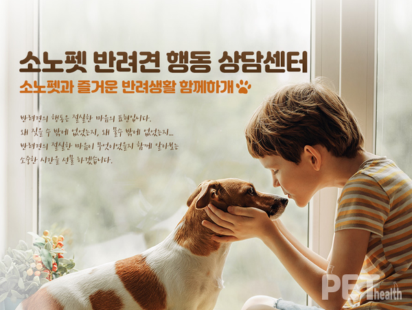 [사진=소노호텔앤리조트]