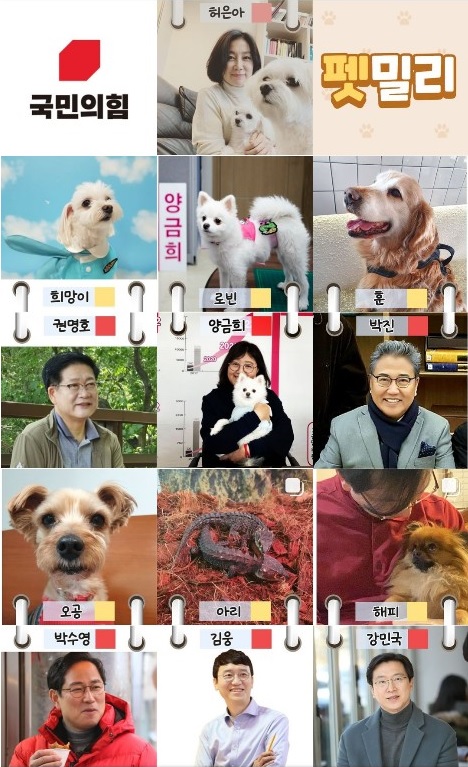 [사진=펫밀리 인스타그램]