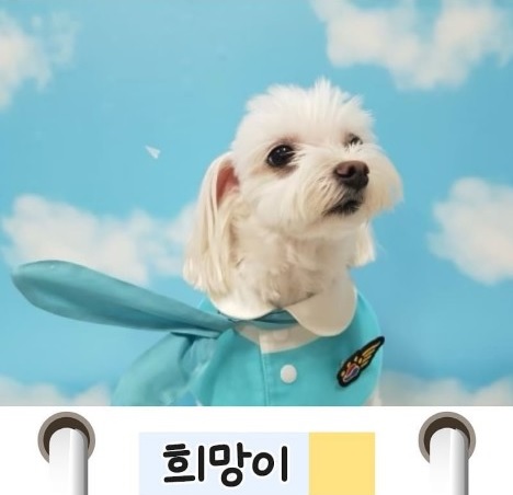 권명호 의원의 반려견 희망이 [사진=펫밀리 인스타그램]