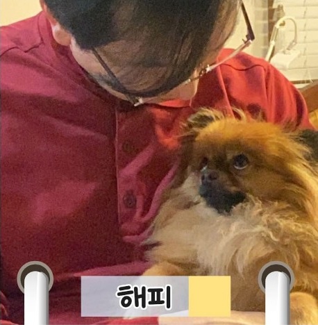 강민국 의원의 반려견 럭키, 해피 [사진=펫밀리 인스타그램]