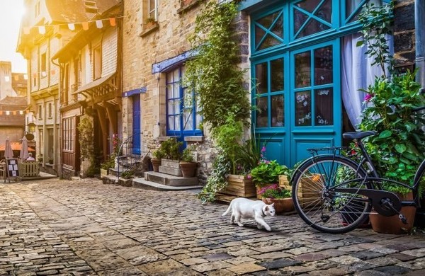 [사진=Petfoodindustry.com]