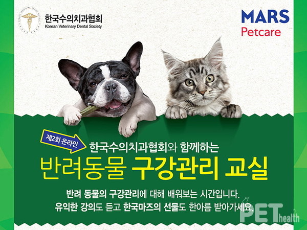 [사진=한국마즈]