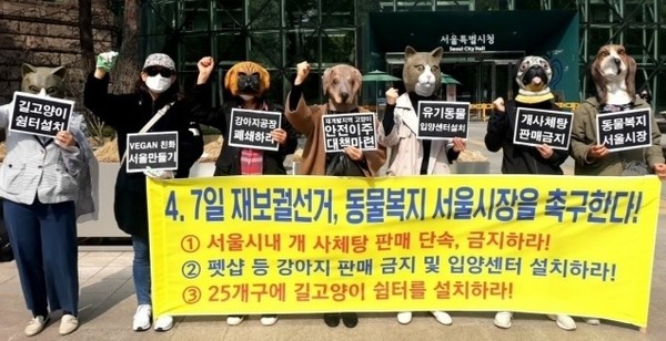 사진 한국동물보호연합