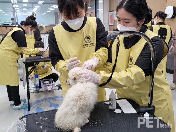 [사진=한국펫고등학교]