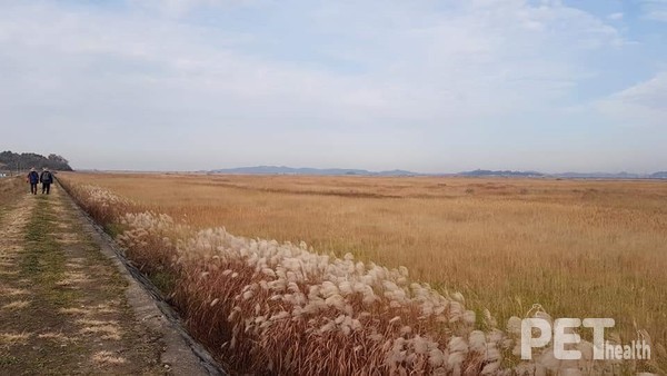 김제 새만금바람길