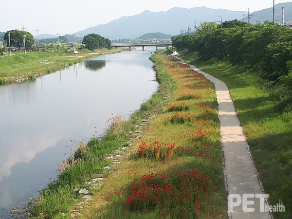 임실 오수의견 관광지