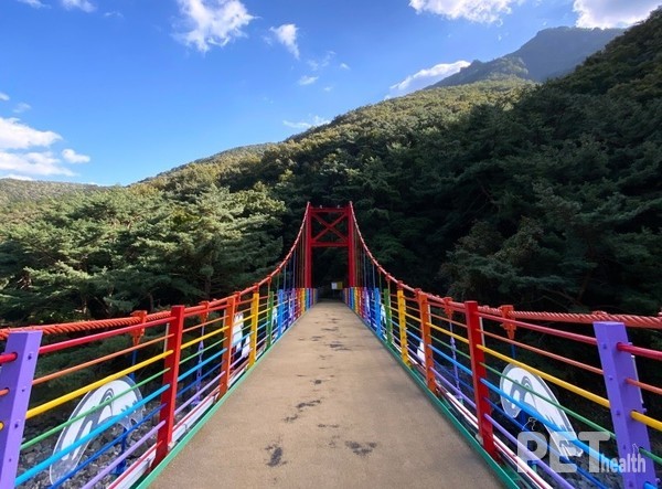 진안 운일암반일암 숲길