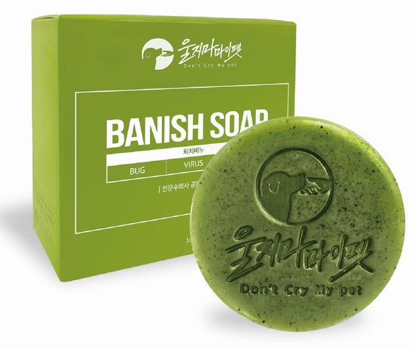 사진 울지마마이펫