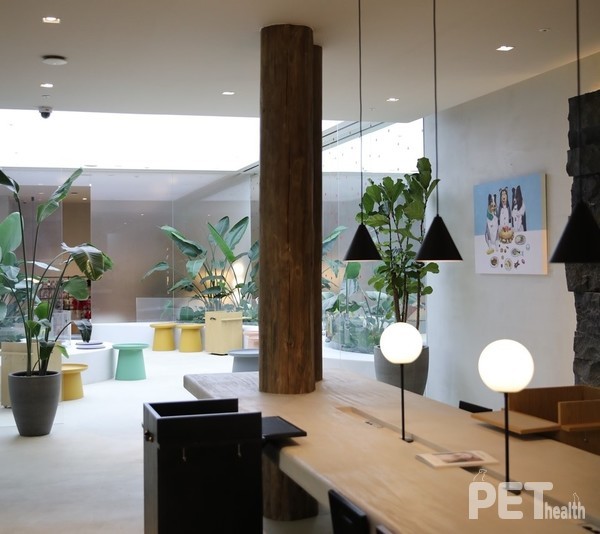 소노펫클럽앤리조트 고양 반려동물 카페 & 레스토랑 ‘Thinking Dog’ 모습. 사진 소노펫