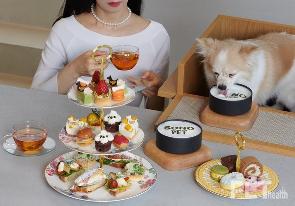 소노펫클럽앤리조트 고양은 국내 최초로 반려동물과 함께 하는 ‘펫프터눈 티 세트’를 출시했다. 사진소노펫