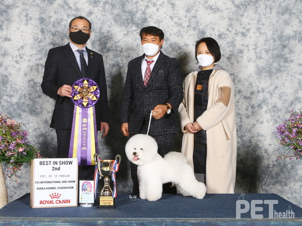 서울 FCI 국제 도그쇼에서 준우승한 렛츠고 [사진=진영선 원장]
