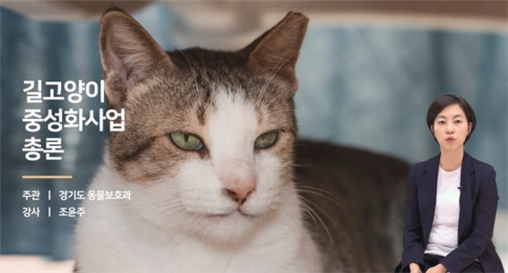 길고양이 중성화사업 교육 영상. 사진 경기도