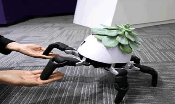 중국의 로봇 제조 스타트업인 빈크로스가 개발한 로봇 반려식물 HEXA. 사진=KB금융지주경영연구소