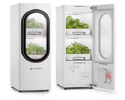 SK매직의 식물재배기. 사진=KB금융지주경영연구소