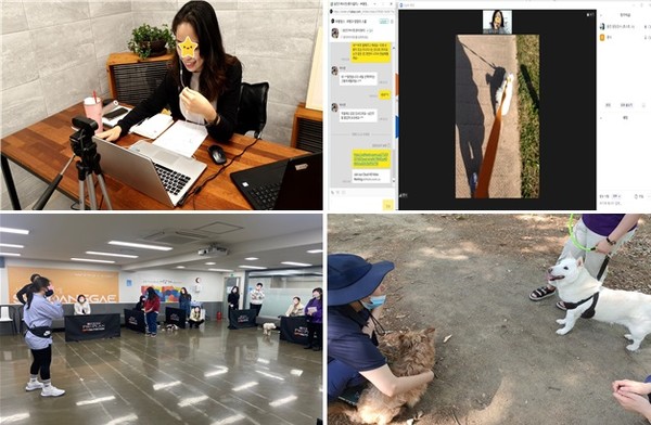 온라인 교육현장 모습(사진 위), 행동교정 교육 모습(아래). 사진 서울시