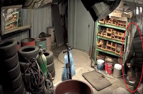 카센터 직원 A가 집안에 숨은 리트리버를 폭행하는 모습. 사진 케어 영상캡쳐