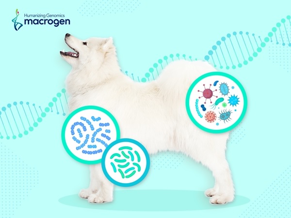 마크로젠이 꼬리, 엠제이바이오젠과 함께 국내 최대 규모 반려견 장내미생물 빅데이터를 구축하고 반려견 맞춤형 헬스케어 시스템을 개발한다. 사진 마크로젠
