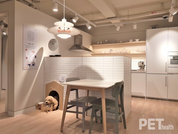 ​부부가 식사할 때 반려견도 함께 식사할 수 있다.​ @펫헬스