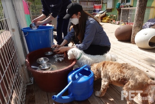 사진 하림펫푸드