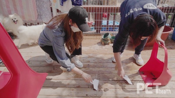 사진 하림펫푸드