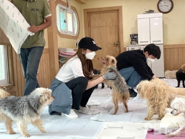 사진 하림펫푸드