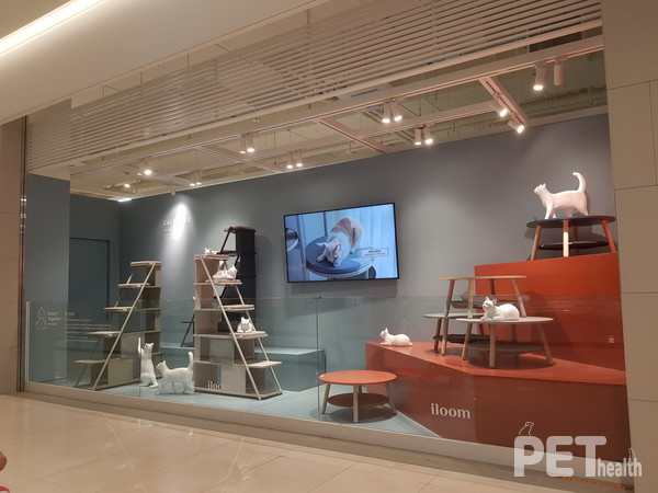 사진은 경기 시흥시에 위치한 일룸가구 매장내 전시장 모습. @펫헬스