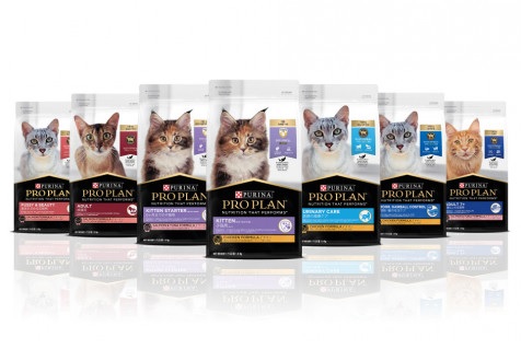 사진 네슬레 퓨리나