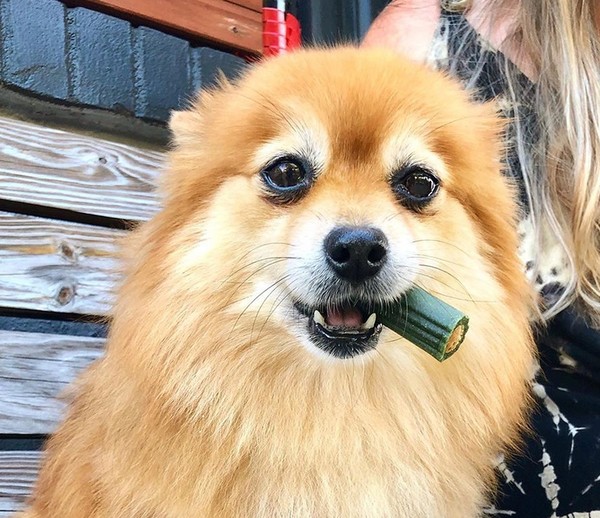 사진 엠제이컴퍼니