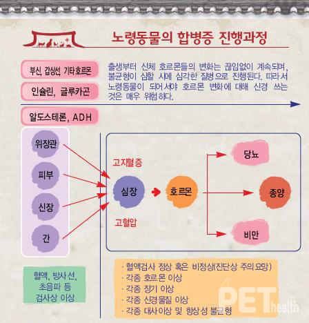 사진 오원석 원장
