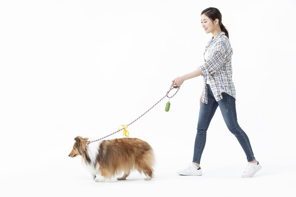 이미지 클립아트코리아