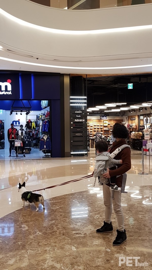 정부가 유기동물 감소 대책으로 추진 중인 ‘반려동물 매매금지’가 현실화 될 경우 반려동물 분양가격 상승은 불가피할 것으로 예측된다. 경제적 여력이 있는 계층만 반려동물 양육할 수 있는 형태로 전개될 수 있다는 점에서 우려가 높아지고 있다. 사진은 아이를 안은 한 반려인이 반려견과 함께 쇼핑을 즐기고 있는 모습. ⓒ펫헬스