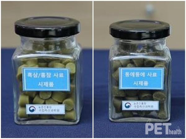 사진 농촌친흥청