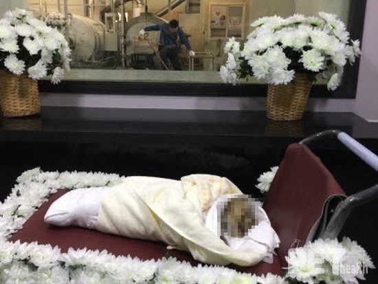 동물장례식장 ⓒ펫헬스